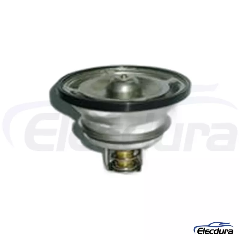 74 20 560 249 Termostat płynu chłodzącego silnika do RENAULT TRUCKS