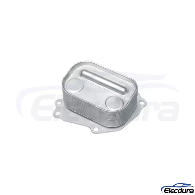 5989070066 Răcitor de ulei de motor BMW, aprovizionare cu ridicata de schimb