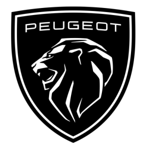 peugeot kompatibilis aut&oacute;s ut&aacute;ngy&aacute;rtott alkatr&eacute;szek